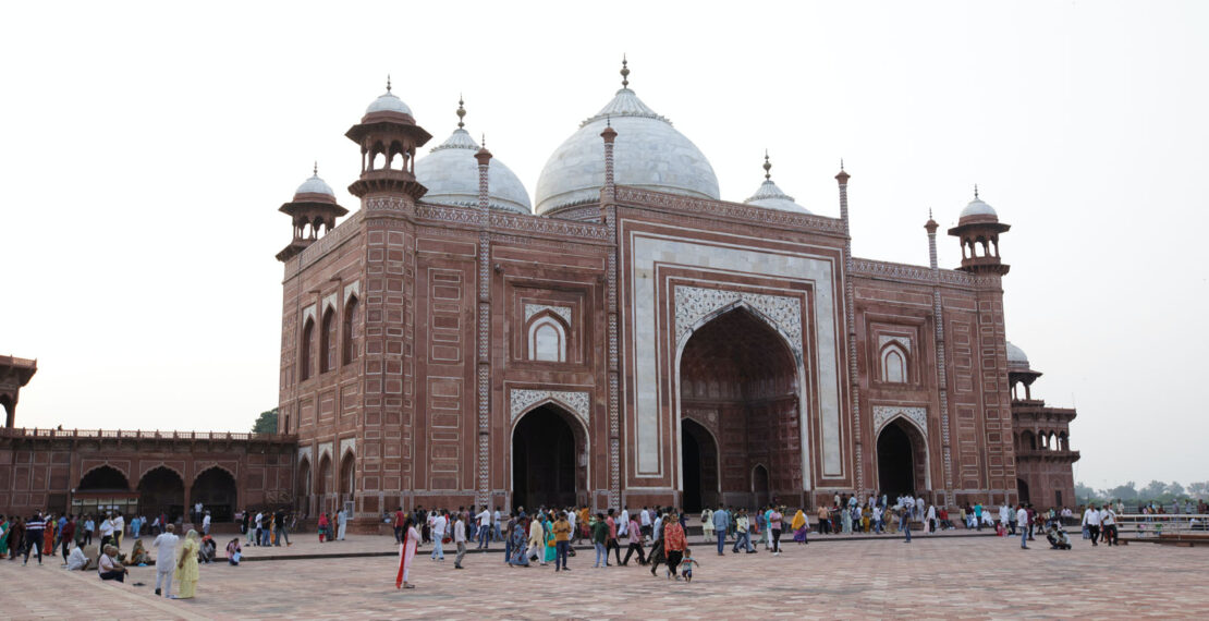 pexels shoeb suryani 13978034